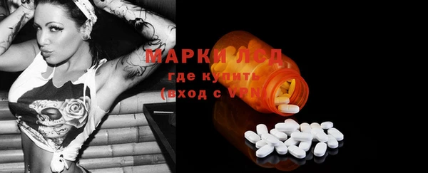 шишки Абаза