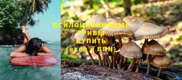 шишки Абаза