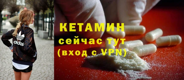 шишки Абаза