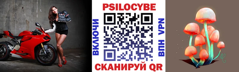 Псилоцибиновые грибы мицелий  маркетплейс телеграм  Белая Калитва  KRAKEN рабочий сайт 